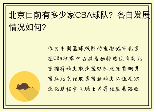 北京目前有多少家CBA球队？各自发展情况如何？